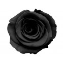 Mini Rosa Amorosa 35cm Negra
